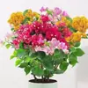 Buganvília com flores, muda grande, em vaso, floresce o ano todo, trepadeira, planta de pétalas duplas, varanda interna, Tingmai Taibao