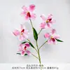 Bandai Orquídea Cattleya de Cinco Cabezas Salón de Banquetes Decoración de Pared de Flores Ramo Flores Artificiales Arreglo de Escenario Flores de Seda