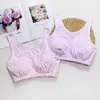 Venta al por mayor de fábrica Sujetador para madre Talla grande Ropa interior tipo chaleco de algodón peinado para personas de mediana edad y mayores Sujetador sin aros Talla completa