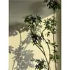 Planta Verde Grande en una Maceta de Madera de Pata de Pato, Adecuada para Sala de Estar y Oficina, Fácil de Cuidar en Todas las Estaciones, También Adecuada para Dormitorio