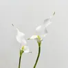 Lírio Calla Branco Simples de Alta Qualidade Alocum Flor Artificial Realista Modelo Sala Simulação Fotografia de Casamento Flor para Segurar