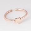 Colección 37 Anillo Femenino Diseño Nicho Moda Personalizado Lujo Ligero Alta Gama Estilo Cool Anillo para Dedo Índice Brazalete Abierto