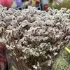 Flores secas de capim cristal preservadas, decoração de flores reais, buquê de flores preservadas feito à mão com vendas diretas da fábrica de Yunnan e frete grátis
