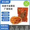 Flores de Cordyceps secas de fábrica, cabezas de esporas de Cordyceps cuidadosamente seleccionadas de Gutian, un ingrediente de hongo para sopas, Flores de Cordyceps