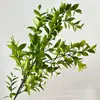 Eucalipto Dinero Césped Artificial Arreglo Floral Hojas Paisajismo Ingeniería Plantas Verdes Mayorista Eucalipto Decorativo Boda