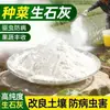 Cal Cruda para Jardinería, Cultivo de Flores y Verduras, Desinfección, Esterilización, Polvo de Cal, Mejora del Suelo, Polvo de Cal Cruda