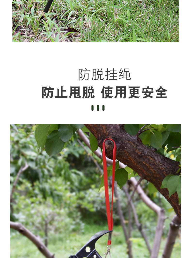 详情图_3.jpg