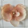 Flor Simulada Cabeza de Flor Phalaenopsis Tela No Tejida Orquídea Mariposa Tocado Flor Falsa Decoración de Bolsa Flor de Seda Boda Caja de Dulces Cabeza de Flor