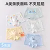 Calzoncillos bóxer de algodón para niños, calzoncillos para bebés, pantalones cortos para niños pequeños, fabricantes al por mayor