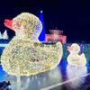 Navidad Viaje Cultural Tour Nocturno Festival de Luces Cisne Animal Delfín Celebridad de Internet Check-in Forma Animal Boceto Lámpara de Paisaje