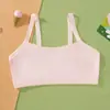Roupa Íntima Feminina Colete Pequeno Estudante Primeira Compra Algodão Fino Confortável Simples Sutiã Feminino Esportivo Algodão Puro Respirável Envolva o Peito