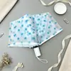 Guarda-chuva de bolinhas, translúcido fosco estilo coreano, simples e moderno, durável, guarda-chuva automático, perfeito para criar uma atmosfera estilosa e como acessório para fotos