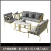 Sofá Moderno Minimalista de Hierro Dorado de Lujo Ligero, Sillón Individual Popular para Tiendas de Ropa, Juego de Sofá y Mesa de Centro para Sala de Estar