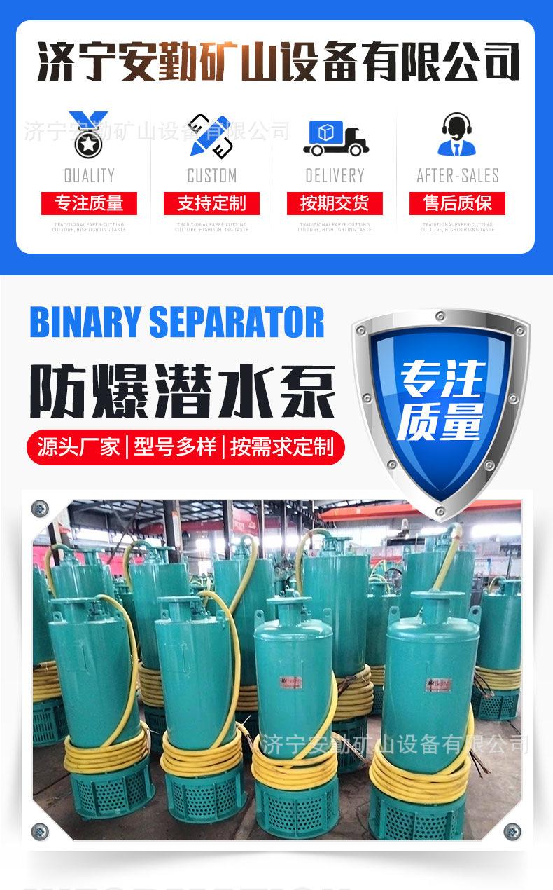 防爆潜水泵_01.jpg
