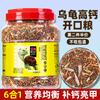 Alimento para Tortugas Alto en Calcio y Proteína para Tortugas, Adecuado para Tortugas de Pasto, Tortugas Moneda, Tortugas Mordedoras, Tortugas Brasileñas, Camarones, Pescado Seco y Tortugas Jóvenes