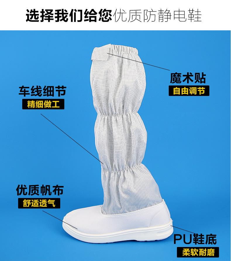 XIN_10.jpg