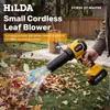 Soplador de batería de litio sin escobillas de 21V, Nuevo modelo transfronterizo, Soplador de barrido de hojas portátil industrial y doméstico de alta potencia