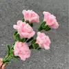 Palito retorcido terminado Flor de clavel gratis Material Flor de clavel para el Día de la Madre Soltero Tienda de flores Soltero Suministros Material de flor de pulpo