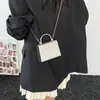 Nova Bolsa de Ombro da Moda de Alto Valor para o Início da Primavera 2026 Bolsa de Mão Mini Chique Tendência Bolsa com Corrente de Acrílico Brilhante