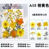 Paquete de Hojas de Flores Secas DIY Cristal Epoxi Paquete de Materiales de Flores Hechos a Mano Pegatinas de Flores Prensadas Materiales Plantas Decorativas Muestras Fotografía