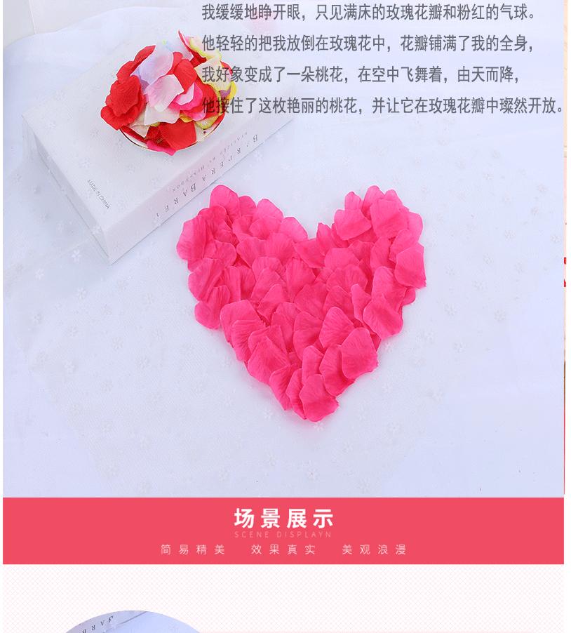玫瑰花瓣_02