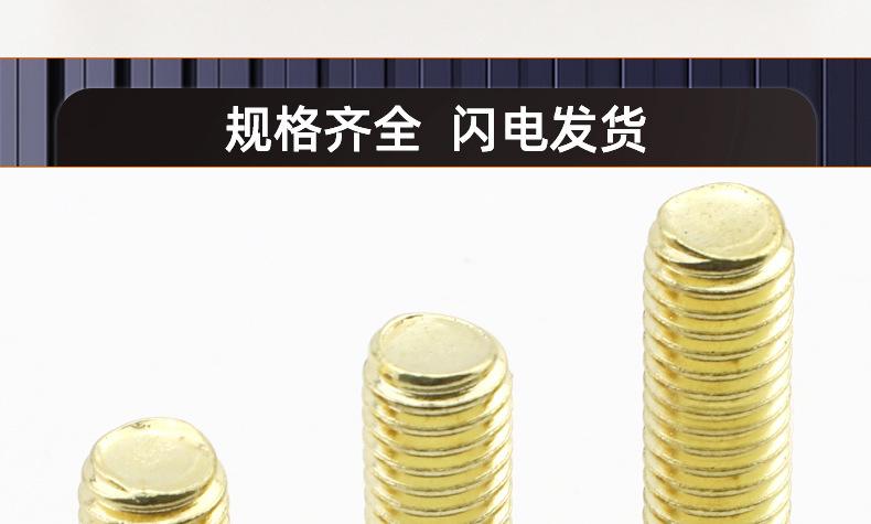 金色304不锈钢倒边十字螺丝_03_19.jpg