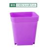 Maceta de Plástico Maceta Cuadrada Pequeña Maceta para Flores Carnosas Color Caramelo Maceta de Vivero 7cm Espesor Maceta Cuadrada Pequeña Negra Color Maceta Cuadrada Fábrica
