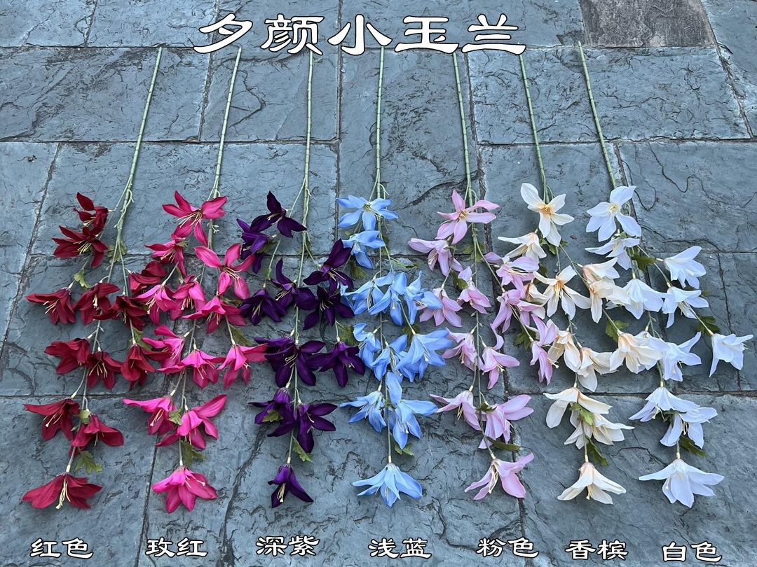 2_副本