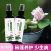 Bowl Lotus Solución Nutritiva Especial Hidroponía Fertilizante Soluble en Agua Fertilizante para Lirios Acuáticos Germinación de Semillas Universal Enraizamiento Promotor Floración Prevención de Hojas Amarillas