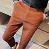 Pantalones casuales para hombre con textura de gofre de alta gama, pantalones rectos ajustados de moda para primavera y otoño, pantalones cortos cropped estilo coreano para jóvenes para hombres