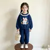 Conjunto de Outono para Meninas 2026 Novo Estilo Super Fofo Roupas de Outono Infantis Conjunto de Duas Peças: Blusa para Bebê Menina com Cós Elástico e Calça
