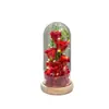 Cúpula de Vidro com Flor Eterna Rosa Simulada com Luz LED Ornamentos de Flor de Sabão para o Festival Qixi, Dia dos Namorados, Presente de Aniversário, Transfronteiriço