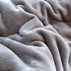 Atacado do Fabricante Outono e Inverno Novo Edredom Quente Espesso de Veludo de Leite Dupla Face Edredom de Outono e Primavera Núcleo de Edredom Edredom com Forro de Lã