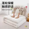 Colchas de Algodón, Colchones con Relleno de Algodón, Colchas Cálidas de Invierno, Colchas para Todas las Estaciones, Esterillas para Estudiantes, Ropa de Cama, Fabricante de Núcleos para Colchas