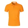 Camisas Polo Masculinas de Primavera e Verão com Logo Estampado, Manga Curta Bordada para Trabalho, Atacado para Grupos Corporativos