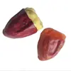 Juguete Squishy de Fruta con Cubitos de Hielo Muñeca Colgante para Niños Juguete para Aliviar el Estrés Rebote Lento Artículo Popular de Celebridad de Internet
