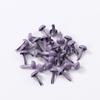 Suministro de fábrica Clavo de dos patas de color mini de 4.5 mm Clavo de dos patas para manualidades infantiles Clavo de ángulo de oveja Material decorativo DIY