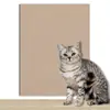 Arranhador para Gatos, Corte Aleatório, Resistente ao Desgaste, Resistente a Arranhões, Não Solta Fiapos, Adesivo de Parede Multifuncional, Artefato Divertido para Gatos, Quadro Arranhador de Escalada para Gatos