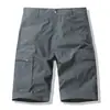 Venta Caliente Transfronterizos Hombres Ropa de Trabajo Casual para Exteriores Shorts Sueltos Multibolsillos Secado Rápido Moda Masculina Shorts de Playa Hombres