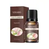 Óleo Essencial de Aromaterapia Solúvel em Óleo Spot Transfronteiriço Atacado Pedra Difusora Vela Pedra Difusora de Aromaterapia Óleo Essencial Especial para Aromaterapia
