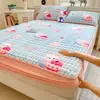 Conjunto de Lençol de Cama Três Peças com Forro de Lã para Inverno, Veludo de Leite Espessado, Quente, Macio e Confortável, Estilo Coreano, Lençol de Cama Acolchoado Estilo Ins, Peça Única