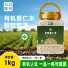 Arroz Orgánico de Semilla de Coix 1.1kg Contiene Minerales, Magnesio y Alta Proteína. Granos de Semilla de Jobo, Granos Integrales, Arroz para Papilla, Semilla de Jobo al por Mayor