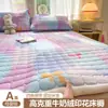 2026 Novo Outono Inverno Espessado Leite Fleece Estampado Protetor de Cama Colchão Outono Inverno Quente Protetor de Cama Protetor de Cama Doméstico Três