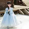 Vestido Princesa Elsa para Meninas, Vestido de Renda Frozen, Vestido Azul de Manga Longa, Vestido de Aniversário Estilo Sonhador
