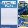Paquete de Material Sensible al Azul para Niños de Jardín de Infancia, Arte para Escuela Primaria, Impresión con Pigmento Líquido Sensible al Azul, Proceso Fotográfico Fotosensible