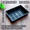 Nueva Caja para Plántulas Maceta Adecuada para Combinación Negra Cuadrada Plantación Caja para Plántulas de Suculentas Maceta para Suculentas Siembra y Plantación