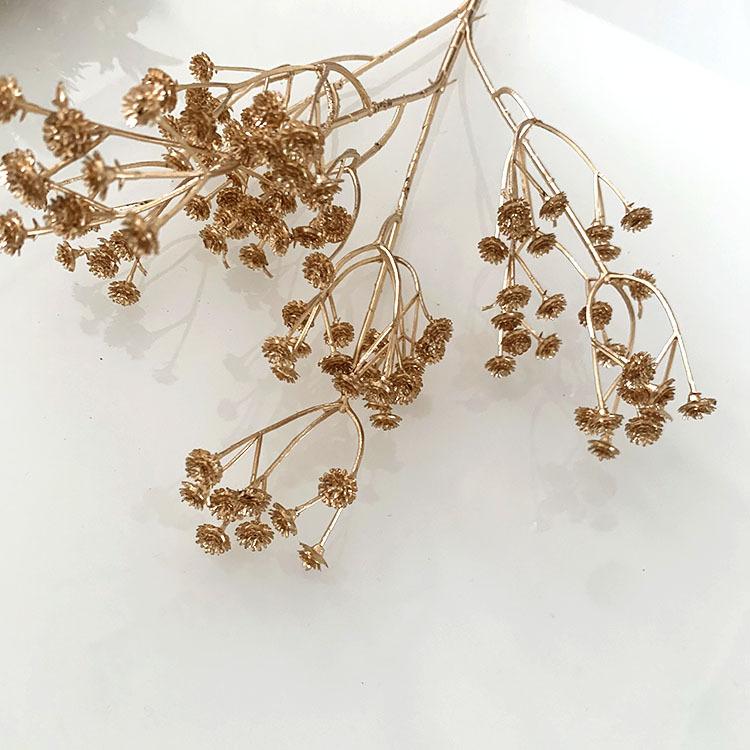 QQ图片20220505100642