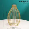 Decorações Criativas de Tubos de Ensaio Hidropônicos, Plantas Verdes para Mesa de Sala de Estar, Micro-Paisagismo, Presentes de Aniversário para Amigos, Decoração de Casa
