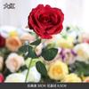 Ruyi sola rosa flor de seda simulación Flor decoración del hogar boda paisajismo proyecto decoración suave al por mayor