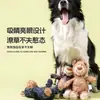 Juguete de sonido para perro, peluche que consume energía, duradero y resistente a la masticación, para Bichón Frisé, Golden Retriever, perros pequeños, medianos y grandes, juguete para mascotas